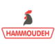 Abdul-Hadi Hammoudeh